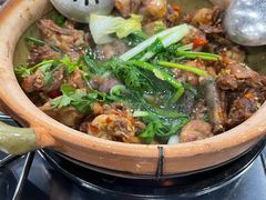 -华仔土鸡店(南洲分店)