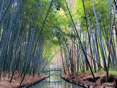 -同里国家湿地公园
