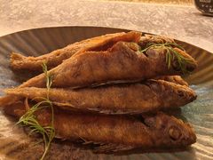 -龟兹KUCINA·新疆菜(前滩L+PLAZA店)