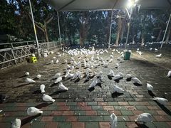 -飞来湖湿地公园