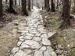 -冶父山国家森林公园