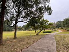 -福建鲤鱼洲酒店