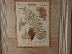 -上海安亭别墅花园酒店