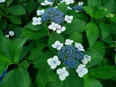 -艾溪湖湿地公园