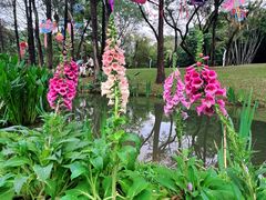 -人民公园(罗湖区)