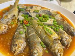 -丁老爷子苏香圆