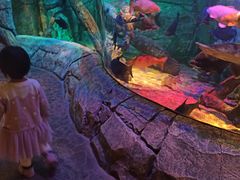 -沈阳海洋探索中心