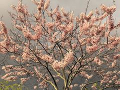 -白石龙音乐公园