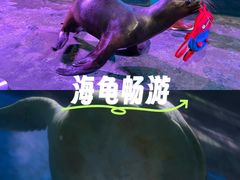 -大连圣亚海洋世界