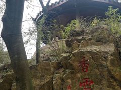 -香雪海