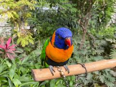 -南宫五洲植物乐园