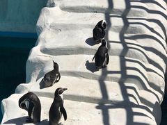 -新疆天山野生动物园