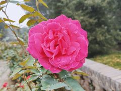 -平遥古城