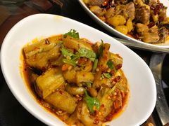 -志晖园圆子鸡·辣子鸡(阳光店)