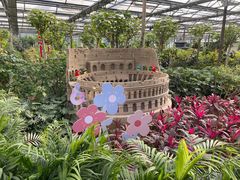 -南宫五洲植物乐园