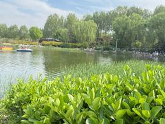 -郑州植物园