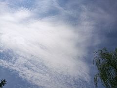 -志龙皇冠吃货椰子铺