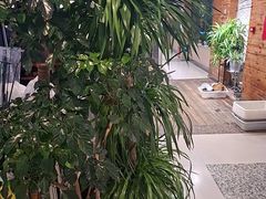 -观塘港茶餐厅(八一大道店)