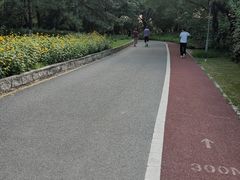 -望湖公园