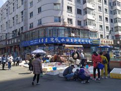 -哈尔滨道外花鸟鱼市场