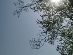 -盘龙城国家考古遗址公园