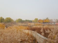 -永定河休闲森林公园