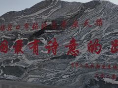 -张北坝上草原