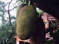 iphone_upload_pic-百鸟园