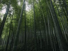 -黄公望隐居地