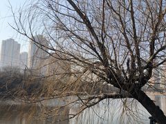 -前关湿地公园