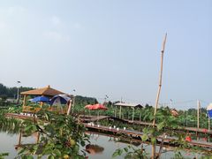 -同銮特种养殖场·龙虾垂钓