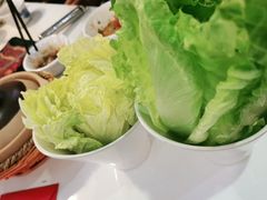 娃娃菜-陈记顺和牛肉火锅馆(天河北路店)