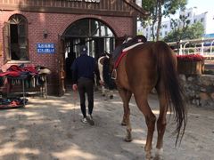 -大连凯洋马术俱乐部有限公司