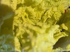 -老员外骨汤火锅(海州古城店)