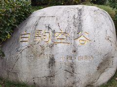 -诗经里