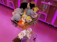 -BIG PINK大粉娃娃机主题馆(圆融星座店)