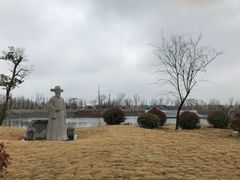 -泗洪洪泽湖湿地景区