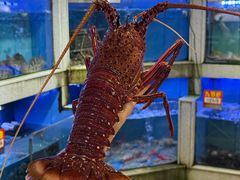 -东江海鲜大排档·潮汕菜·砂锅粥