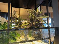 -廊亦舫Lang Yi Fang Restaurant(金桥店)
