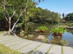-深圳仙湖植物园-停车场