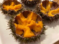 -海胆小馆(东北水饺·春柳店)