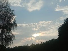 -堤角公园