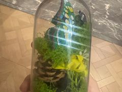 -大连金石滩绿发温泉假日酒店