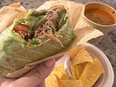 -油梨树AVOCADO TREE(顺义新国展店)