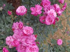 -人民公园(罗湖区)