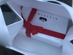 -BLACKSWAN黑天鹅(环球店)