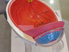 -武汉大学附属爱尔眼科医院(湖北总院)