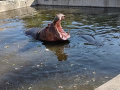 -哈尔滨北方森林动物园