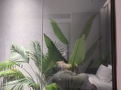 -HIB HUB公社(解放西路店)