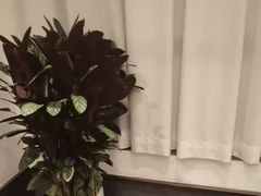 -梅花香里大酒店(郁金香路店)